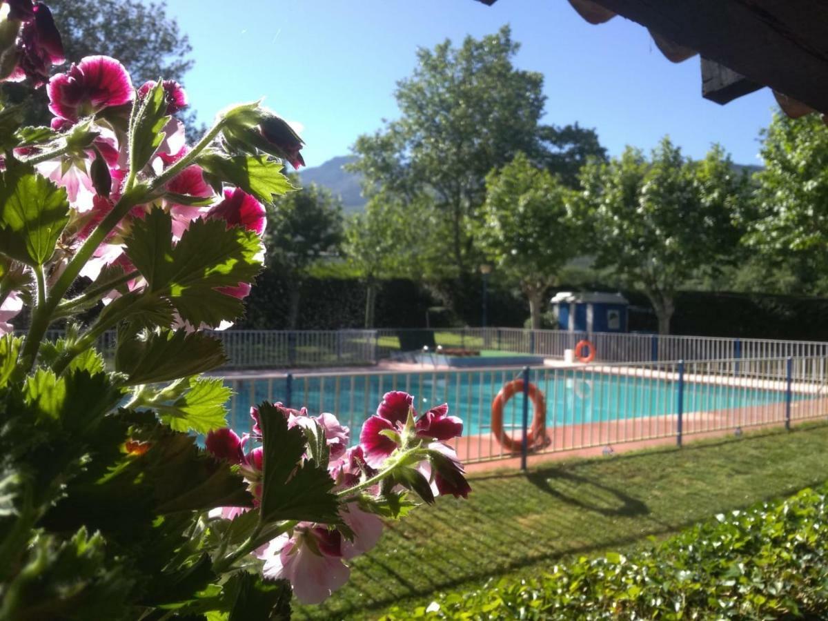 Camping El Pinajarro Hervás エクステリア 写真
